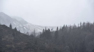 Elterwater 'dan Langdale Pikes dağlarına doğru sisli kış sabahında büyüleyici manzara.