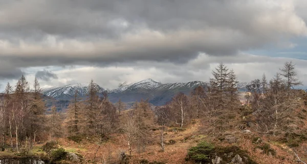 Epic Vista Panorámica Del Paisaje Invierno Desde Holme Fell Lake —  Fotos de Stock