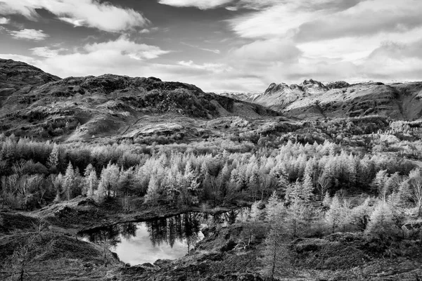 Epicka Zima Czarno Biały Widok Krajobrazu Holme Spadł Lake District — Zdjęcie stockowe