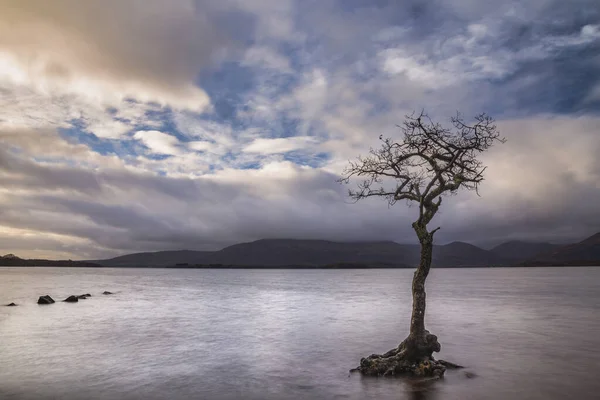 Majestátní Krajina Obraz Milarrochy Bay Loch Lomond Skotské Vysočině Ohromující — Stock fotografie