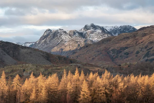 Epic Winter Landscape Image View Holme Fell Lake District Snow — Stock Photo, Image