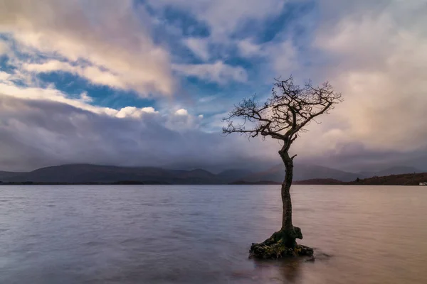 Majestátní Krajina Obraz Milarrochy Bay Loch Lomond Skotské Vysočině Ohromující — Stock fotografie