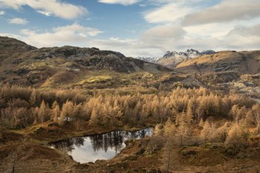 Holme Bölgesi 'ndeki destansı kış manzarası. Görkemli bir akşam ışığında, karlı dağ sıralarına doğru düştü.