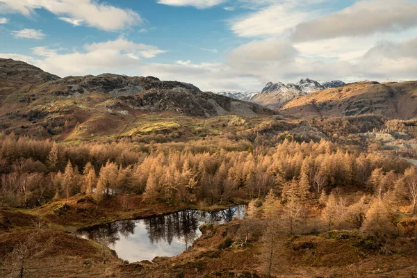 Epico Paesaggio Invernale Vista Immagine Holme Fell Nel Lake District — Foto Stock