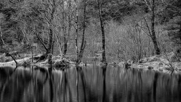 Beautiful Black White Landscape Image Torren Lochan Glencoe Scottish Highlands — Stock Photo, Image