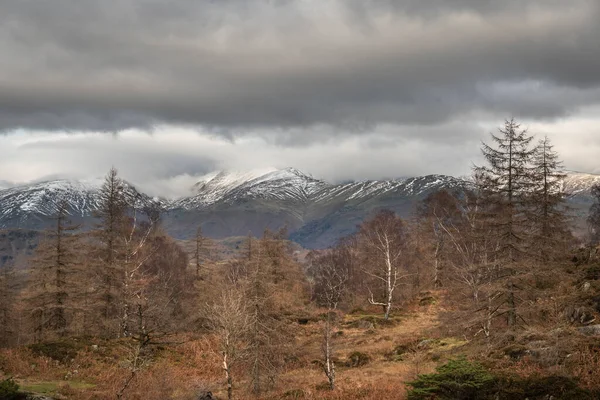 Епічні Зимові Пейзажі Holme Fell Озерному Районі Снігових Гірських Хребтів — стокове фото