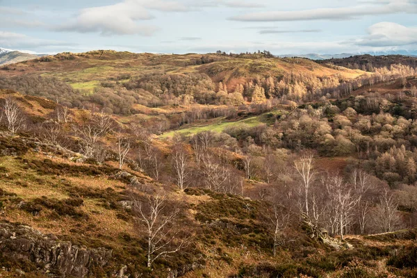 Epic Inverno Paisagem Imagem Vista Holme Fell Lake District Para — Fotografia de Stock