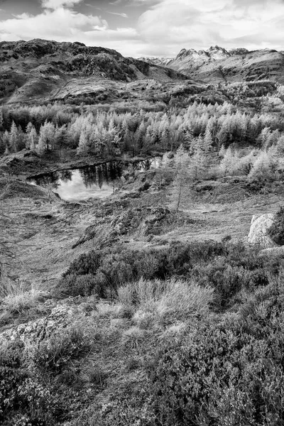 Epic Winter Black White Landscape Image View Holme Fell Lake — Stock Photo, Image