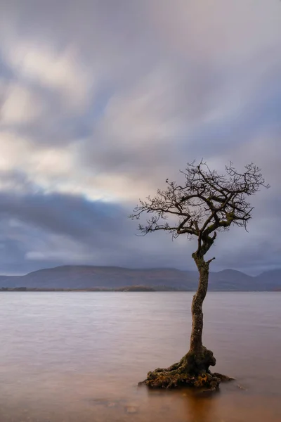Maestosa Immagine Paesaggistica Milarrochy Bay Sul Loch Lomond Nelle Highlands — Foto Stock