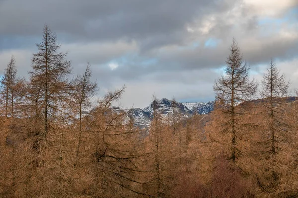 Epic Vista Panorámica Del Paisaje Invierno Desde Holme Fell Lake —  Fotos de Stock