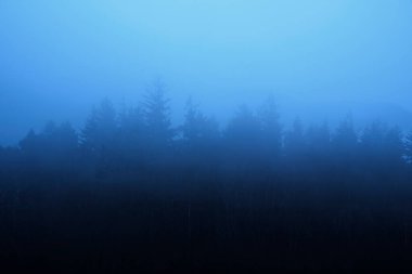 Soğuk kış sabahında Göl Bölgesi 'ndeki puslu Derwentwater' ın güzel manzarası