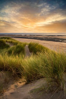 Akşam Kumsaldaki çimenli kum tepeleri üzerinde yaz manzarası