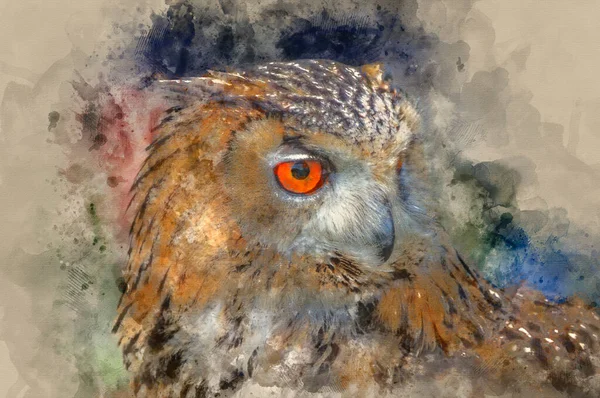 Akvarell Målning Superb Närbild European Eagle Owl Med Ljusa Orange — Stockfoto