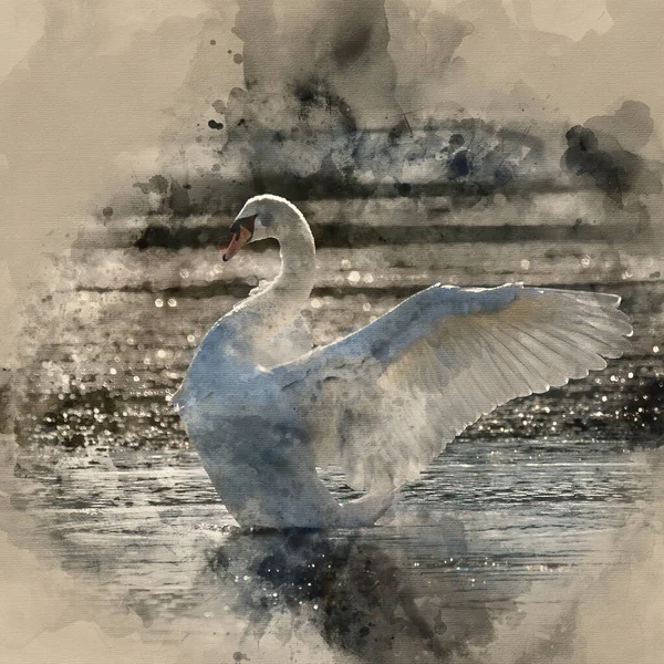 Pintura Acuarela Elegante Hermoso Cisne Mudo Extiende Sus Alas Lago —  Fotos de Stock