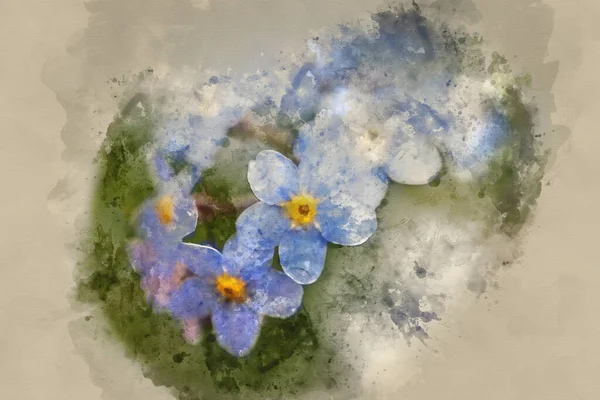 Pintura Aquarela Belas Flores Primavera Esquecer Não Com Profundidade Rasa — Fotografia de Stock
