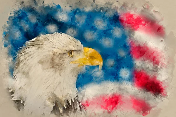 2008 Digital Watercolor Painting Portrait American Bald Eagle Usa Flag — 스톡 사진