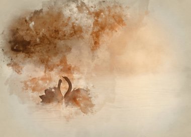 Sisli gölde çiftleşen kuğuların dokunaklı romantik sahnesinin suluboya resmi