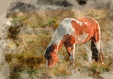 Kahverengi ve beyaz Yeni Orman midillisi atının suluboya tablosu gün doğumu manzarasında