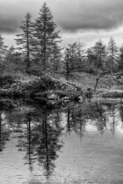 Kış destansı siyah ve beyaz manzara görüntüsü. Göl Bölgesi 'nden karlı dağ sıralarına doğru düştü. Görkemli akşam ışığında.