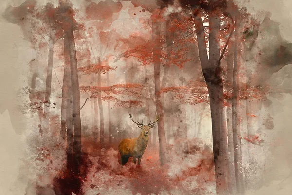 Imagem Impressionante Veado Vermelho Veado Nevoeiro Outono Colorido Paisagem Florestal — Fotografia de Stock