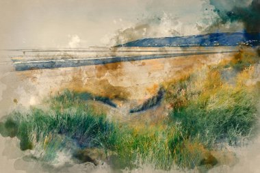 Evening Summer landscape over grassy sand dunes on beach with Instagram effect filter