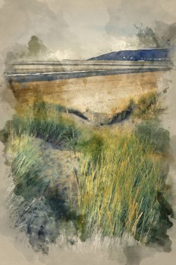 Instagram etkisi filtresiyle sahildeki çimenli kum tepecikleri üzerinde Akşam Yaz manzarasının suluboya resmi