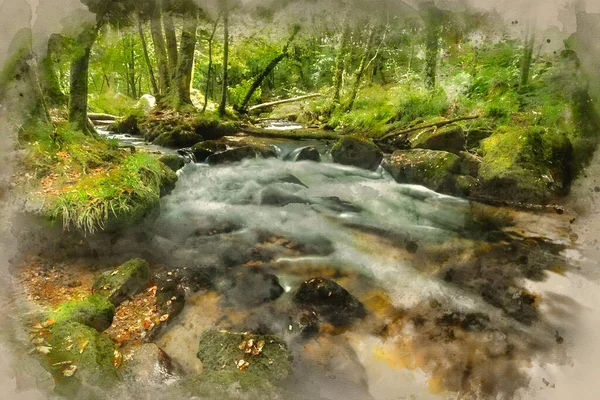 Watercolour painting of Landscape iamge of river flowing through lush green forest in Summer