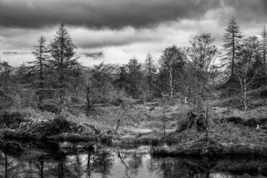 Kış destansı siyah ve beyaz manzara görüntüsü. Göl Bölgesi 'nden karlı dağ sıralarına doğru düştü. Görkemli akşam ışığında.