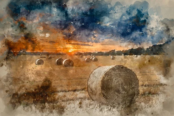 Akvarell Målning Vackert Landskap Bild Höbalar Sommarfältet Färgglada Solnedgången — Stockfoto