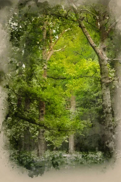 Watercolor Painting Shallow Depth Field Landscape Bluebell Woods Spring — Stock Photo, Image