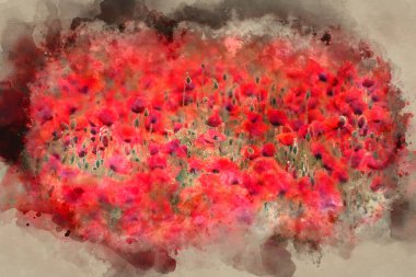 Güzel Yaz Gündoğumu 'nun suluboya resmi. Haşhaş tarlaları.