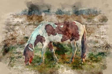 Kahverengi ve beyaz Yeni Orman midillisi atının suluboya tablosu gün doğumu manzarasında