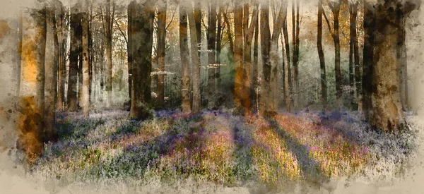 Pintura Aquarela Bela Paisagem Floresta Bluebell Primavera Campo Inglês — Fotografia de Stock