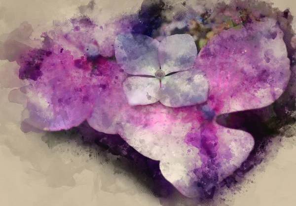 Aquarell Gemälde Von Schöne Lebendige Sommer Hortensienblüte Aus Nächster Nähe — Stockfoto