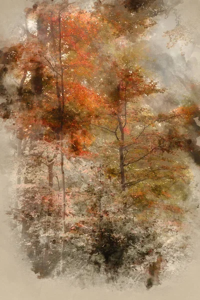 生气勃勃的秋天秋天雾蒙蒙的森林景观水彩画 — 图库照片
