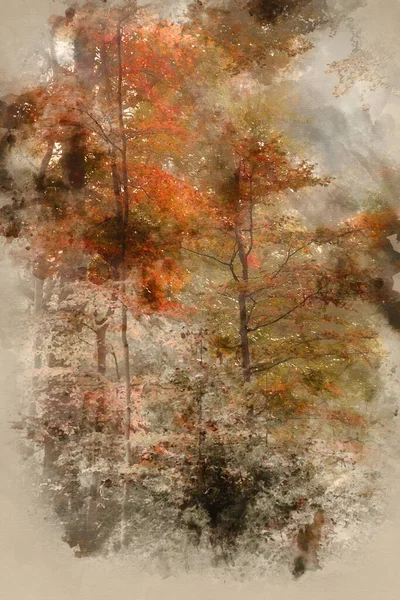 Acuarela Pintura Impresionante Vibrante Evocador Otoño Otoño Niebla Bosque Paisaje —  Fotos de Stock