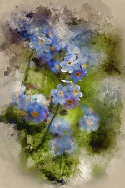 Aquarellmalerei Von Schöne Vergissmeinnicht Frühlingsblumen Mit Struktur Und Vignetteneffekt Hinzugefügt — Stockfoto