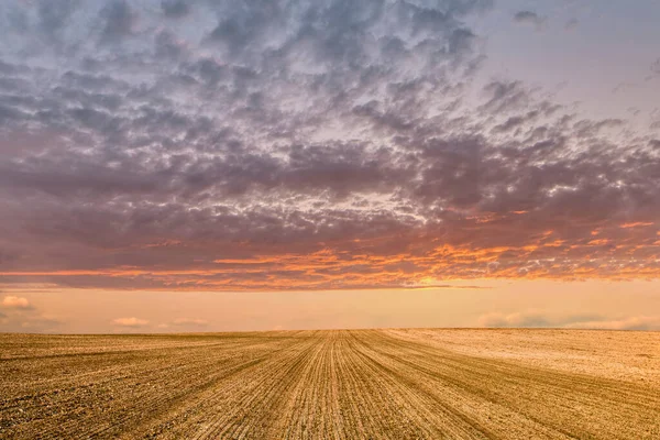 Bella Sera Primavera Luce Sui Campi Paesaggio Fattoria — Foto Stock