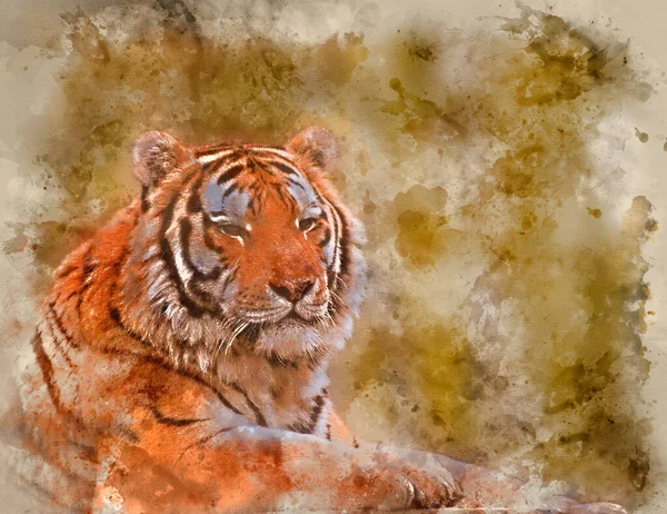 Digitally Generated Watercolour Painting Beautiful Tiger Relaxing Warm Day — Zdjęcie stockowe