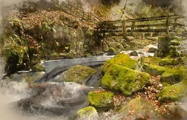 Watercolour Painting Autumn Fall Forest Landscape River Flowing Golden Vibrant — Stock Photo, Image