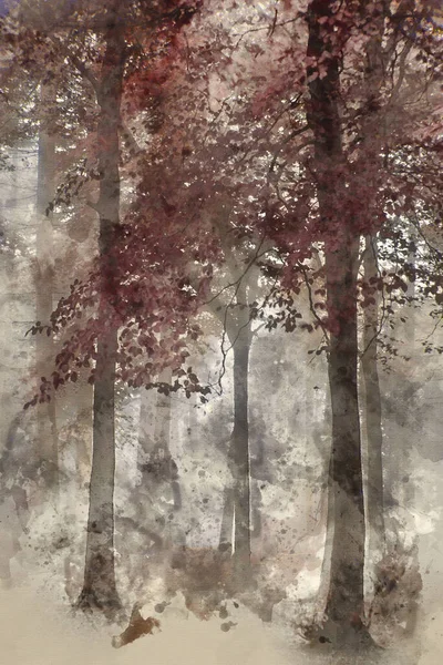 Aquarela Pintura Impressionante Vibrante Evocativa Outono Outono Outono Nevoeiro Floresta — Fotografia de Stock
