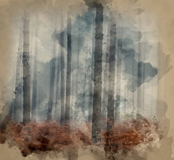 松林秋天山水彩绘雾蒙蒙的清晨 — 图库照片