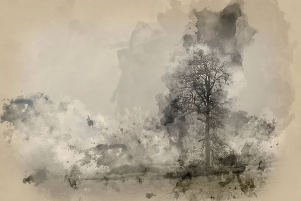 Aquarela Pintura Dramático Mal Humorado Nevoeiro Floresta Paisagem Primavera Outono — Fotografia de Stock