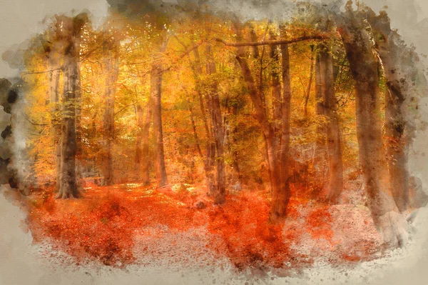 Aquarela Pintura Bela Imagem Paisagem Floresta Coberta Cor Outono Outono — Fotografia de Stock