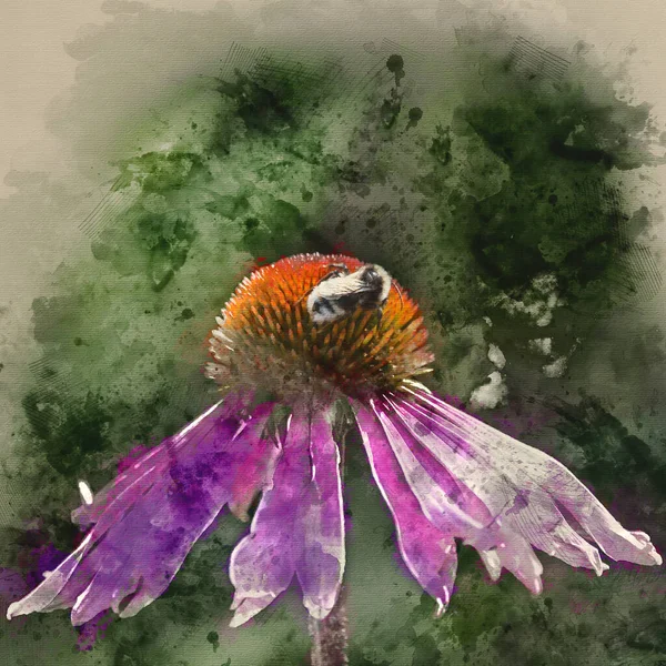 Malarstwo Akwarelowe Bumble Pszczół Zapylających Kwiat Stożka Lecie — Zdjęcie stockowe