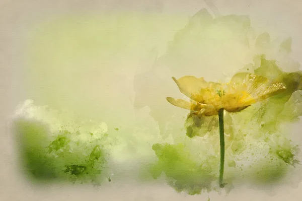 Watercolour Painting Single Buttercup Flower Spring Bright Green Bokeh Background — Stock Photo, Image