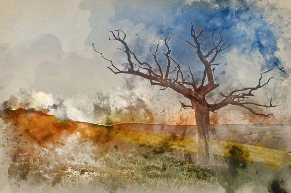Malarstwo Akwarelowe Piękny Wschód Słońca Nad Polem Rzepaku Wsi Wiosną — Zdjęcie stockowe