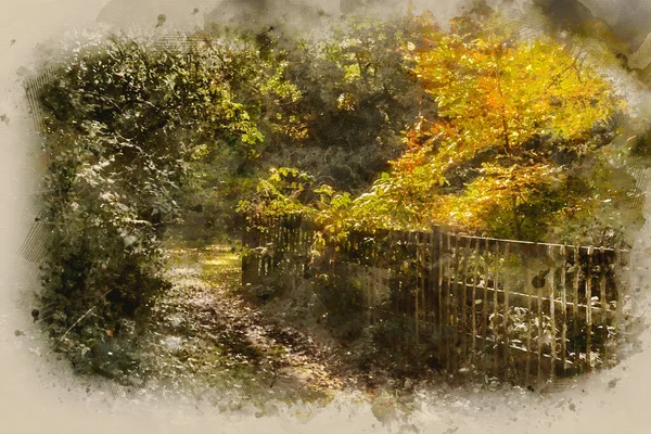 Aquarelverf Schilderij Van Prachtige Levendige Gouden Herfst Herfst Herfst Bos — Stockfoto