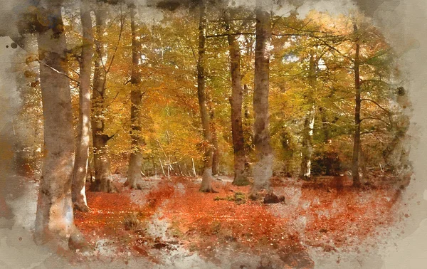緑とオレンジ 茶色と金とのコントラスト秋の色で覆われた森の美しい風景画の水彩画 — ストック写真