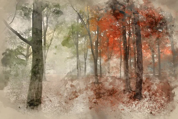 Aquarelle Des Saisons Passant Été Automne Concept Automne Représenté Dans — Photo